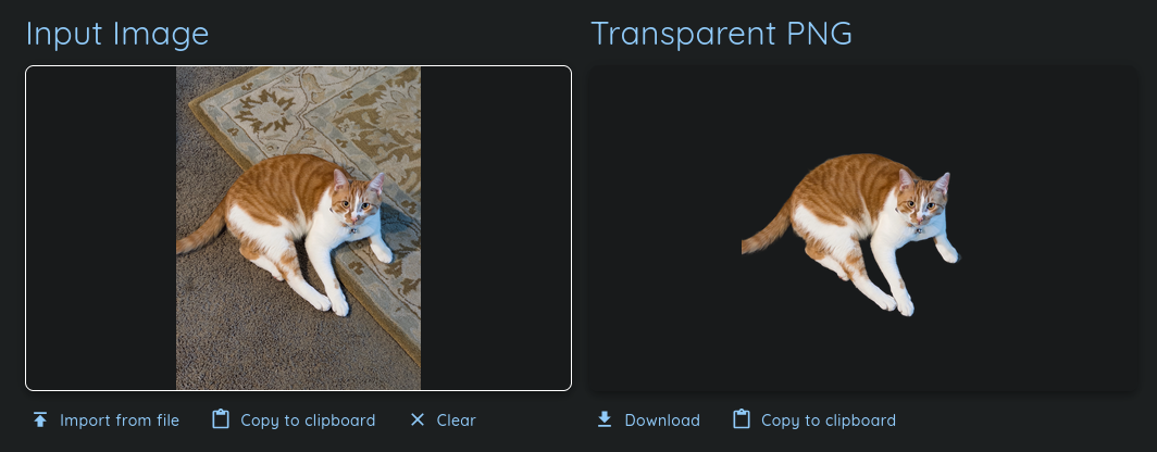 On the left, Beau on the carpet. On the right, Beau with no carpet.